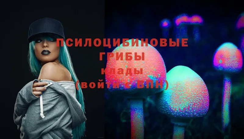 Галлюциногенные грибы Cubensis  наркотики  мега вход  Новомичуринск 